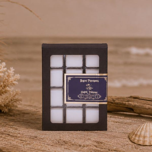 Coastal paradise wax melt on a tan beach setting with sea shells