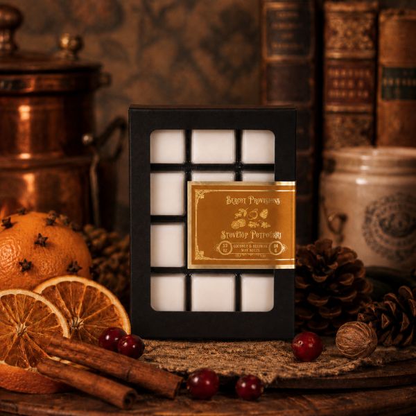 Wax melts made with coconut wax and beeswax cubes in a box styled on a rustic wooden surface with dried orange slices, cinnamon sticks, cranberries, pinecones, and old books in the background.